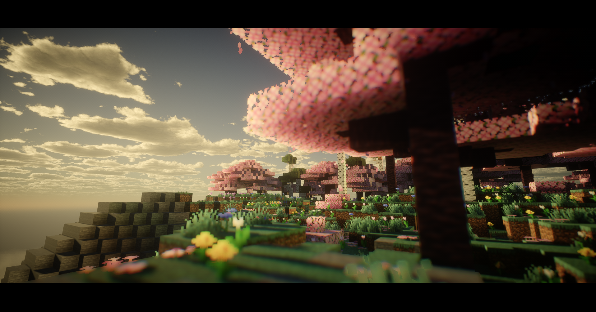 Survival 3